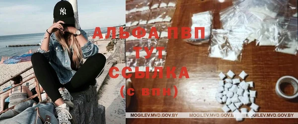 стафф Верхний Тагил