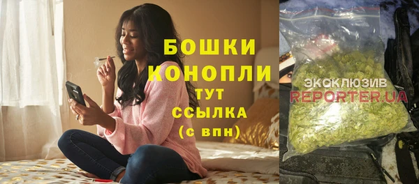 стафф Верхний Тагил