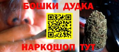 крисы Нальчик