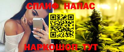 крисы Нальчик