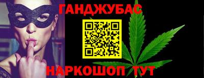 крисы Нальчик