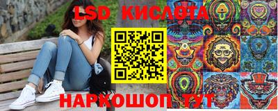 крисы Нальчик