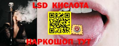 крисы Нальчик
