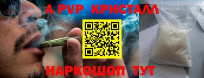 крисы Нальчик