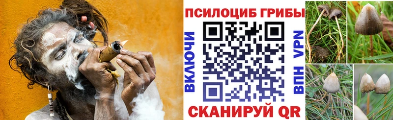 Псилоцибиновые грибы ЛСД  Волхов 