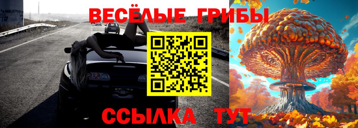 Галлюциногенные грибы ЛСД  Галлюциногенные грибы Psilocybe  Волхов  Вход с VPN 